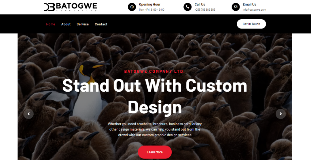 Batogwe Website